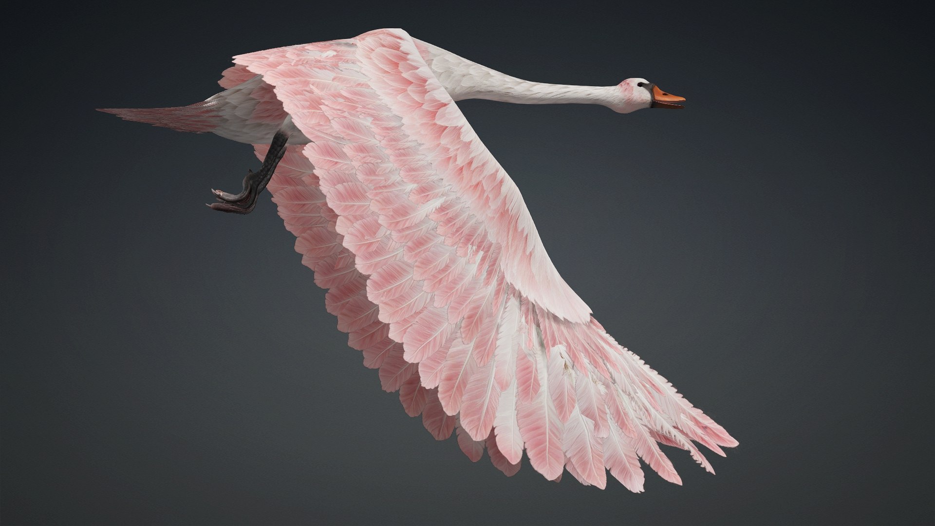 Cygnus-A3 3D model https://p.turbosquid.com/ts-thumb/q9/gADBYm/lr/preview8/jpg/1793328590/1920x1080/fit_q87/bea5ef12c1ce91e000f94dd30bd94ee09a06c0b2/preview8.jpg