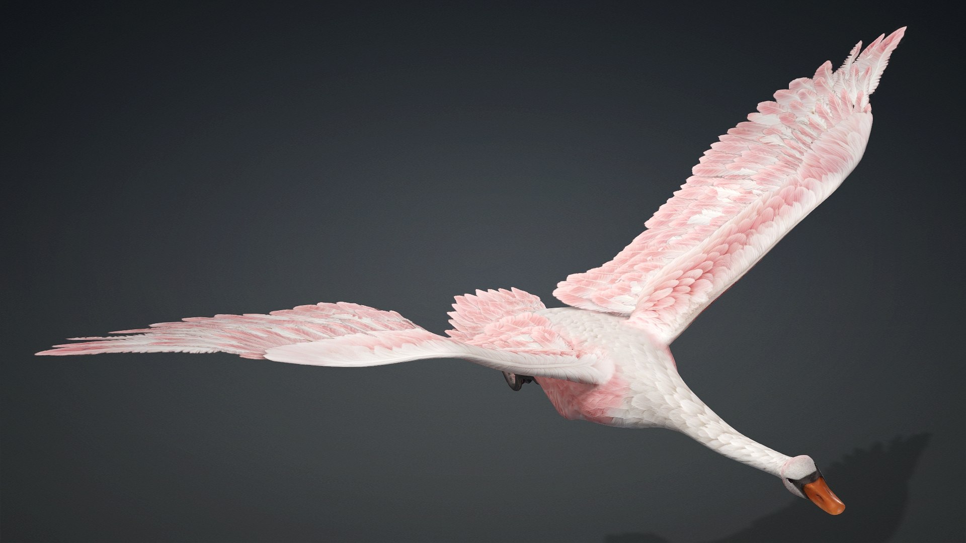 Cygnus-A3 3D model https://p.turbosquid.com/ts-thumb/q9/gADBYm/pi/preview15/jpg/1793328592/1920x1080/fit_q87/3e44b63f5adadf343e99816d9b3ee6aa673aa236/preview15.jpg