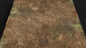 terrain ground grass bushes patch pt5 PBR photogrammetry model