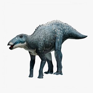 3D Shantungosaurus - Dinosaur