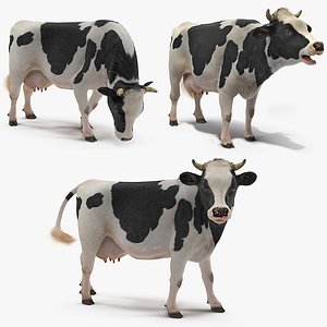 Animated Cow Collection for Maya