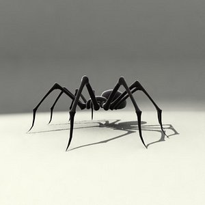 Spider