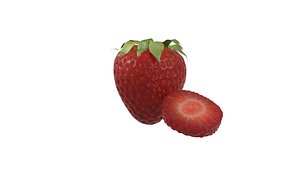 Realistic Strawberry