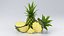 Cartoon Fruits Big Collection