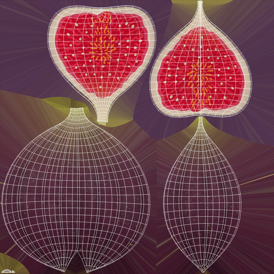 3D Cartoon Fruits Big Collection https://p.turbosquid.com/ts-thumb/qA/KJTO2B/3r/xuv_figs_half/jpg/1691492196/1920x1080/fit_q87/6027d7f55247d0c36a073a2d8578004047c99855/xuv_figs_half.jpg