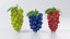 Cartoon Fruits Big Collection