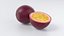 Cartoon Fruits Big Collection