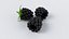 Cartoon Fruits Big Collection
