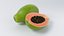 Cartoon Fruits Big Collection