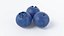 Cartoon Fruits Big Collection