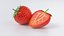 Cartoon Fruits Big Collection