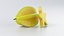 Cartoon Fruits Big Collection