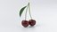 Cartoon Fruits Big Collection