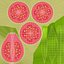 Cartoon Fruits Big Collection