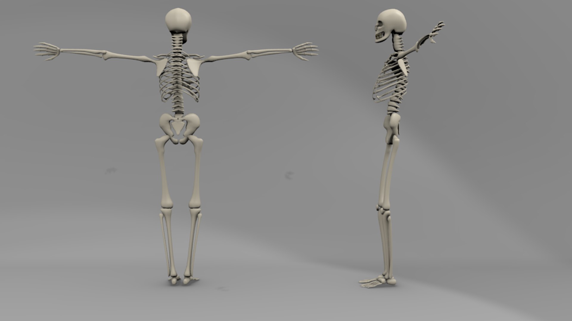 free 3ds mode skelton https://p.turbosquid.com/ts-thumb/qB/AuEUti/AKgQuKOe/turbosquid4/png/1302635974/1920x1080/fit_q87/e51026c3488f70741e2302f9a97abbfed3127d38/turbosquid4.jpg