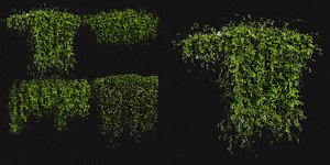 Collection plant vol 387 - blender model 3D model