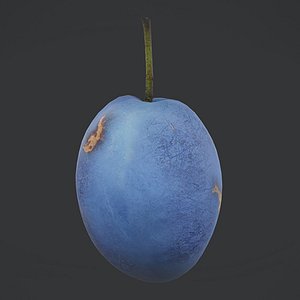Fruit Damson Low Poly model