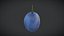 Frutta prugna selvatica Low Poly
