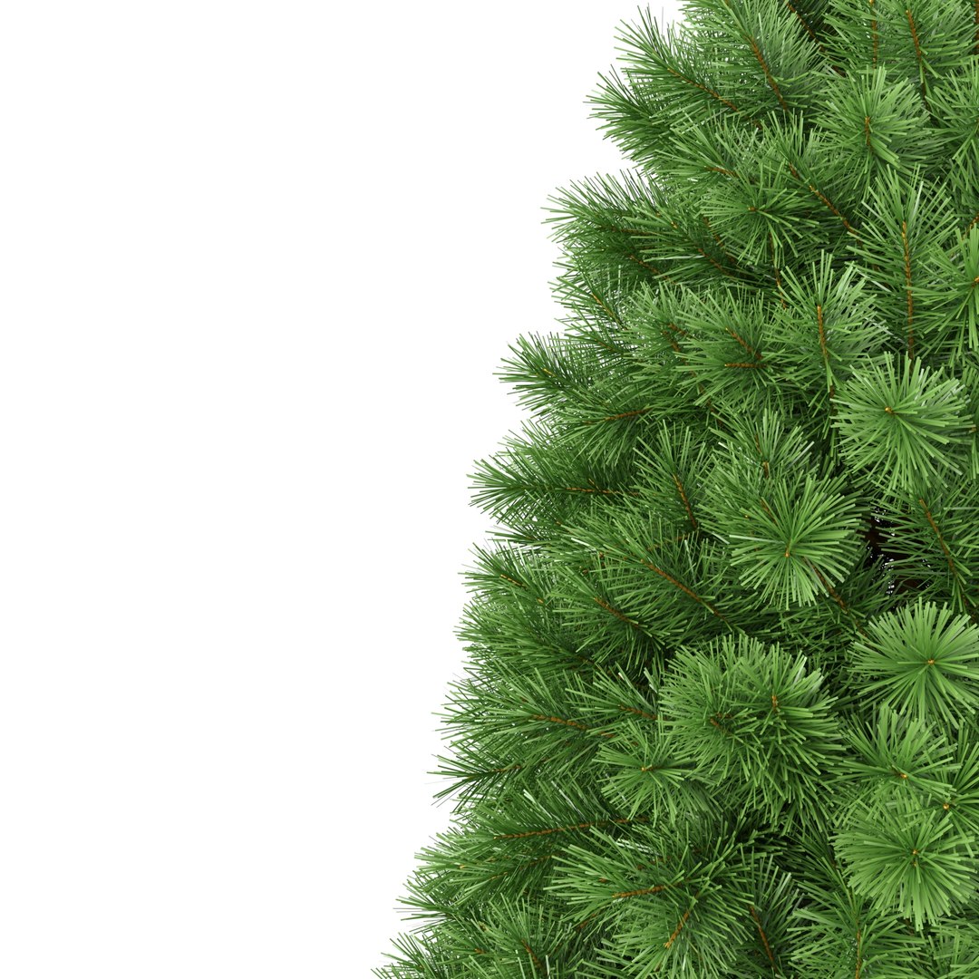 3D Christmas Tree 7 feet model https://p.turbosquid.com/ts-thumb/qB/IgksCe/HE/rend1.1/jpg/1636704240/1920x1080/fit_q87/654d7fca41aa60841d7024179f0e7ab9091f989b/rend1.1.jpg