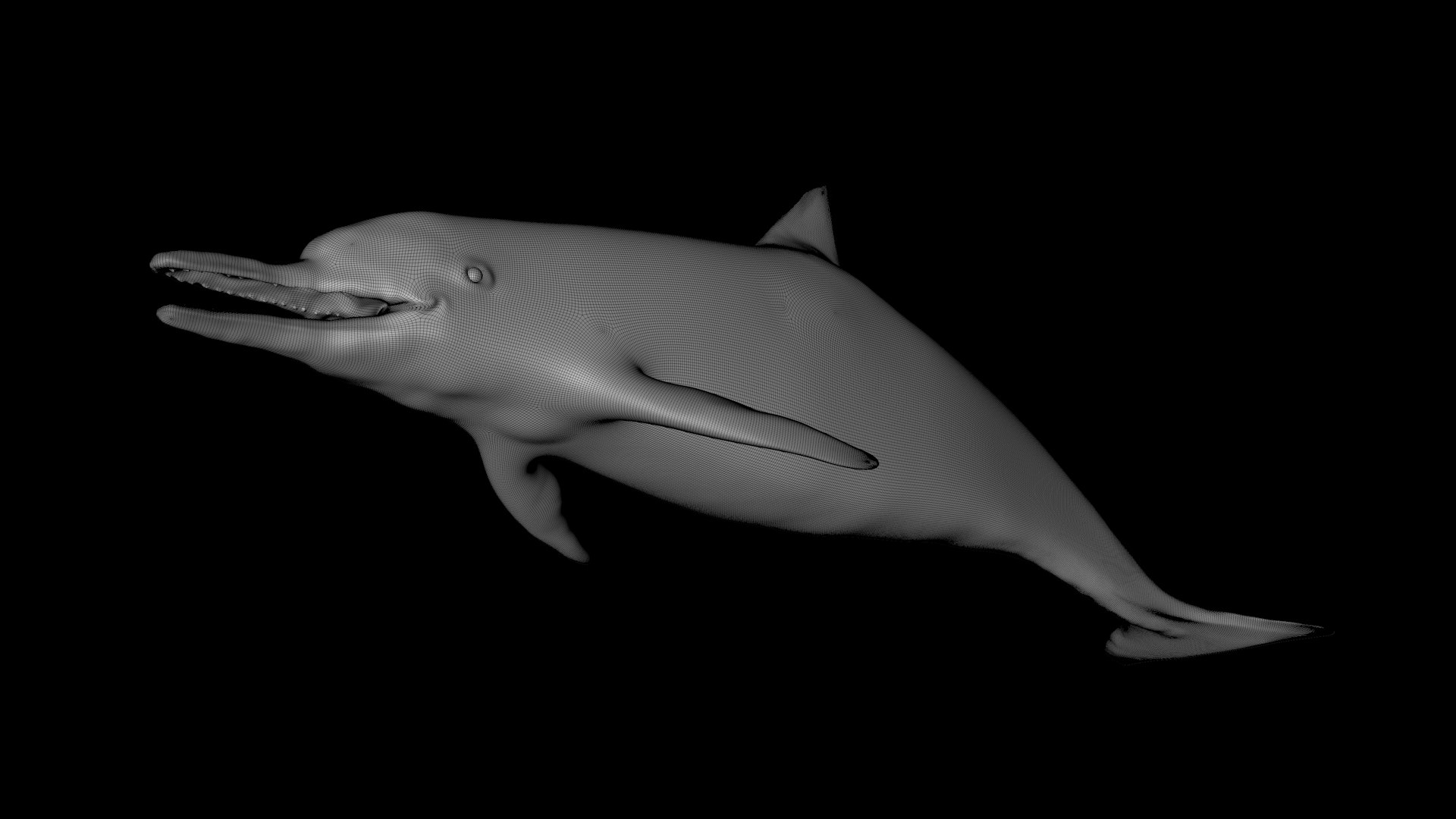 3D model dolphin rigged https://p.turbosquid.com/ts-thumb/qB/OoKL6G/0yQkjOjx/32/png/1600371555/1920x1080/fit_q87/99183c9668f840454aeadb227fce2a49aba83bc3/32.jpg