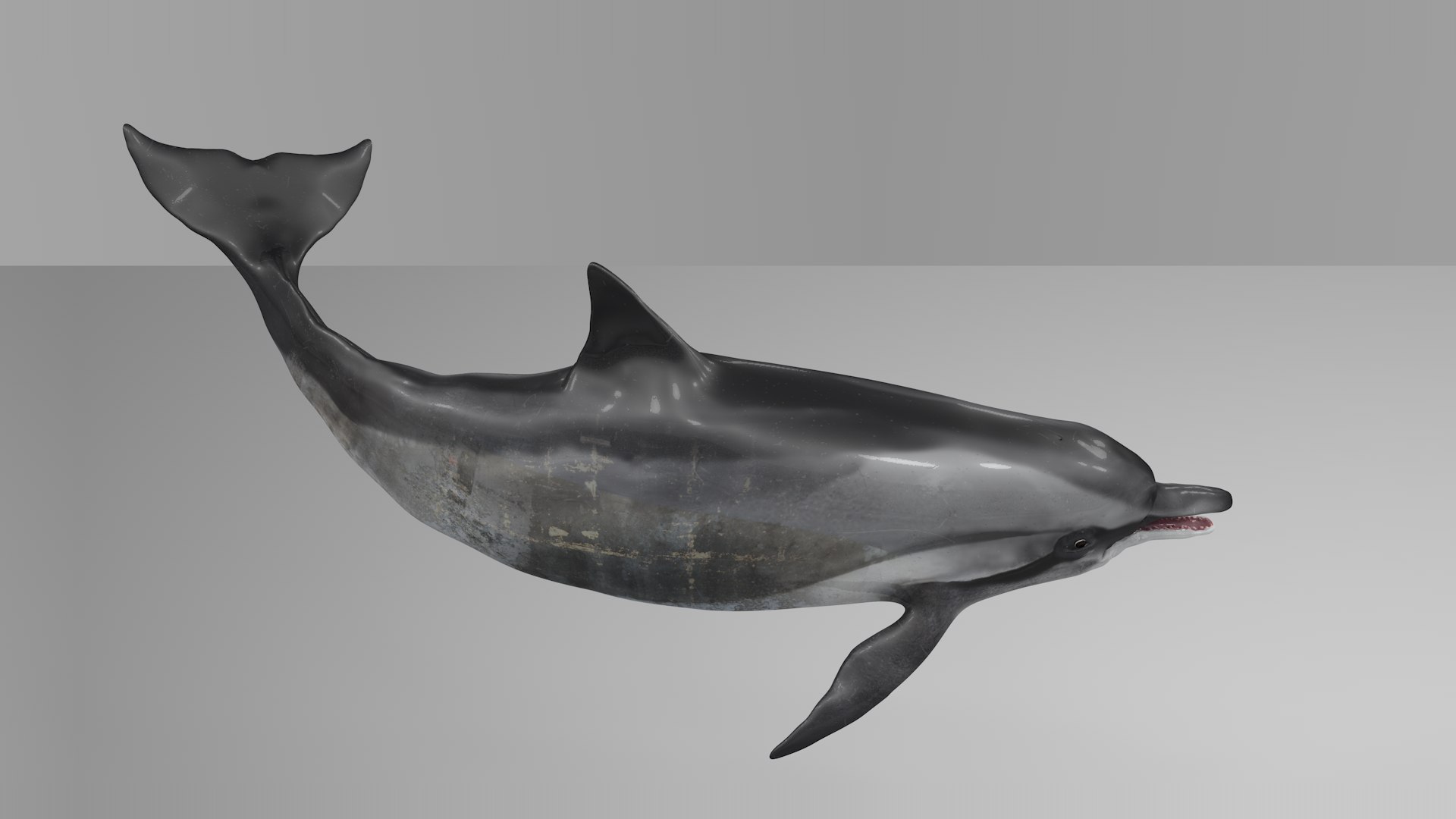 3D model dolphin rigged https://p.turbosquid.com/ts-thumb/qB/OoKL6G/6vpR8ktL/10/png/1600371306/1920x1080/fit_q87/c8e98d1889f102baf1262b2ed31664a5f667789b/10.jpg