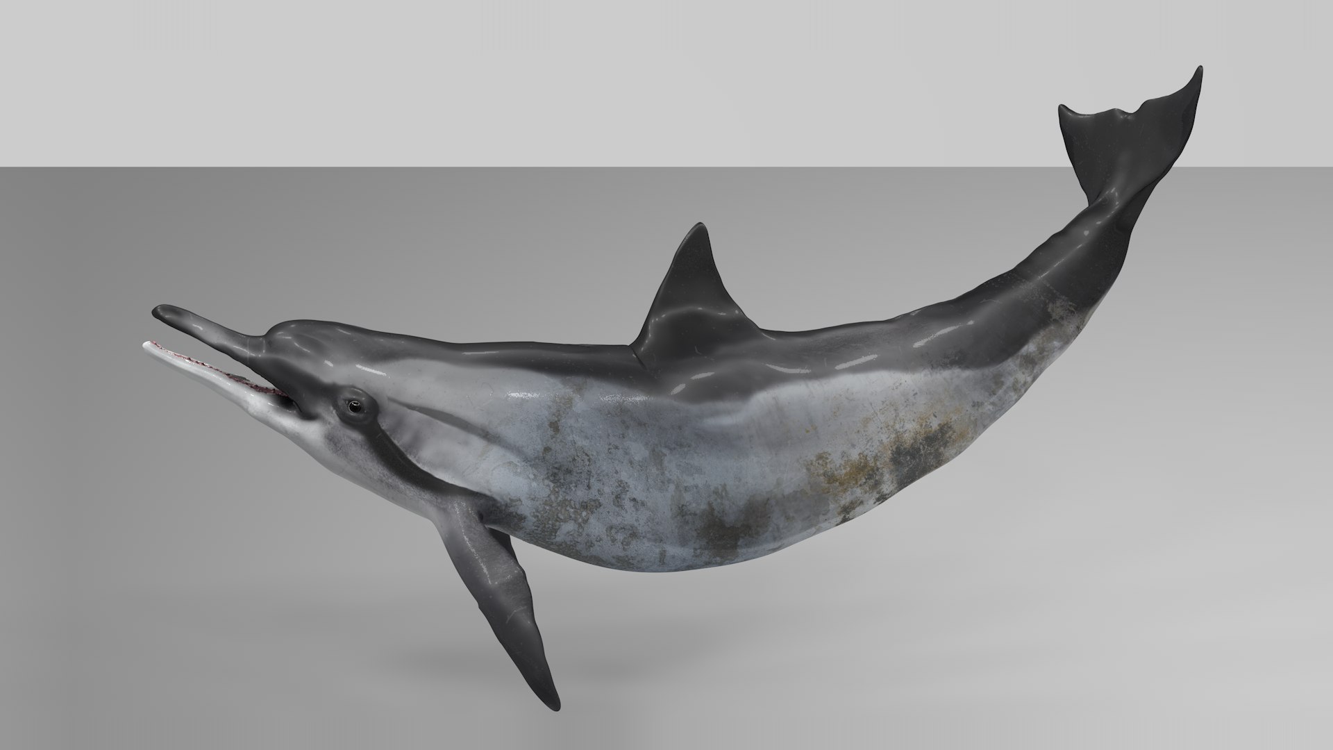 3D model dolphin rigged https://p.turbosquid.com/ts-thumb/qB/OoKL6G/CY37Ivcm/07/png/1600371296/1920x1080/fit_q87/1f8a32f54354756dfc64f9bdcd2229eb4da12104/07.jpg