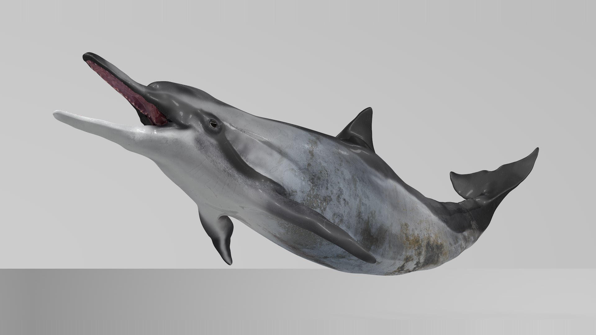 3D model dolphin rigged https://p.turbosquid.com/ts-thumb/qB/OoKL6G/FiPOJa7U/06/png/1600371293/1920x1080/fit_q87/b8ec2ae15352f8ba83b6ca0b4ff0c4655a1198a1/06.jpg