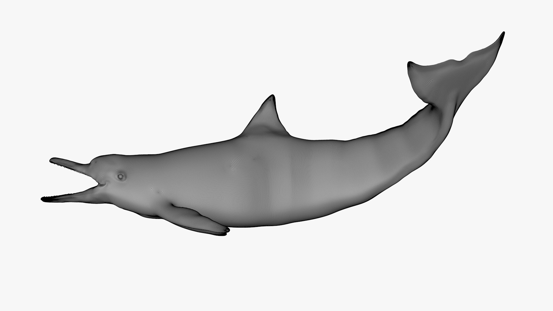 3D model dolphin rigged https://p.turbosquid.com/ts-thumb/qB/OoKL6G/GiZTeww1/49/png/1600371571/1920x1080/fit_q87/8fe92e54c1849bec4ec062e5b0d3c96730601d9e/49.jpg