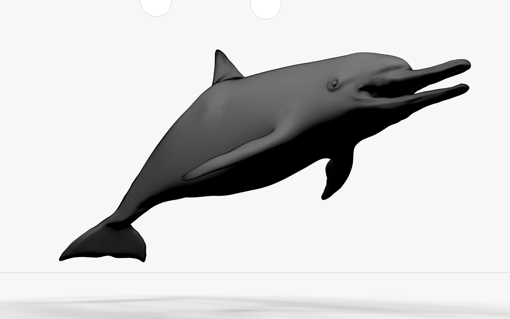 3D model dolphin rigged https://p.turbosquid.com/ts-thumb/qB/OoKL6G/HRCZ1s2Q/0000/jpg/1600307192/1920x1080/turn_fit_q99/034ced2489ab2fd4a0fe9c1dfac54771bef9a2f7/0000-1.jpg