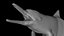 Spinner Dolphin 943