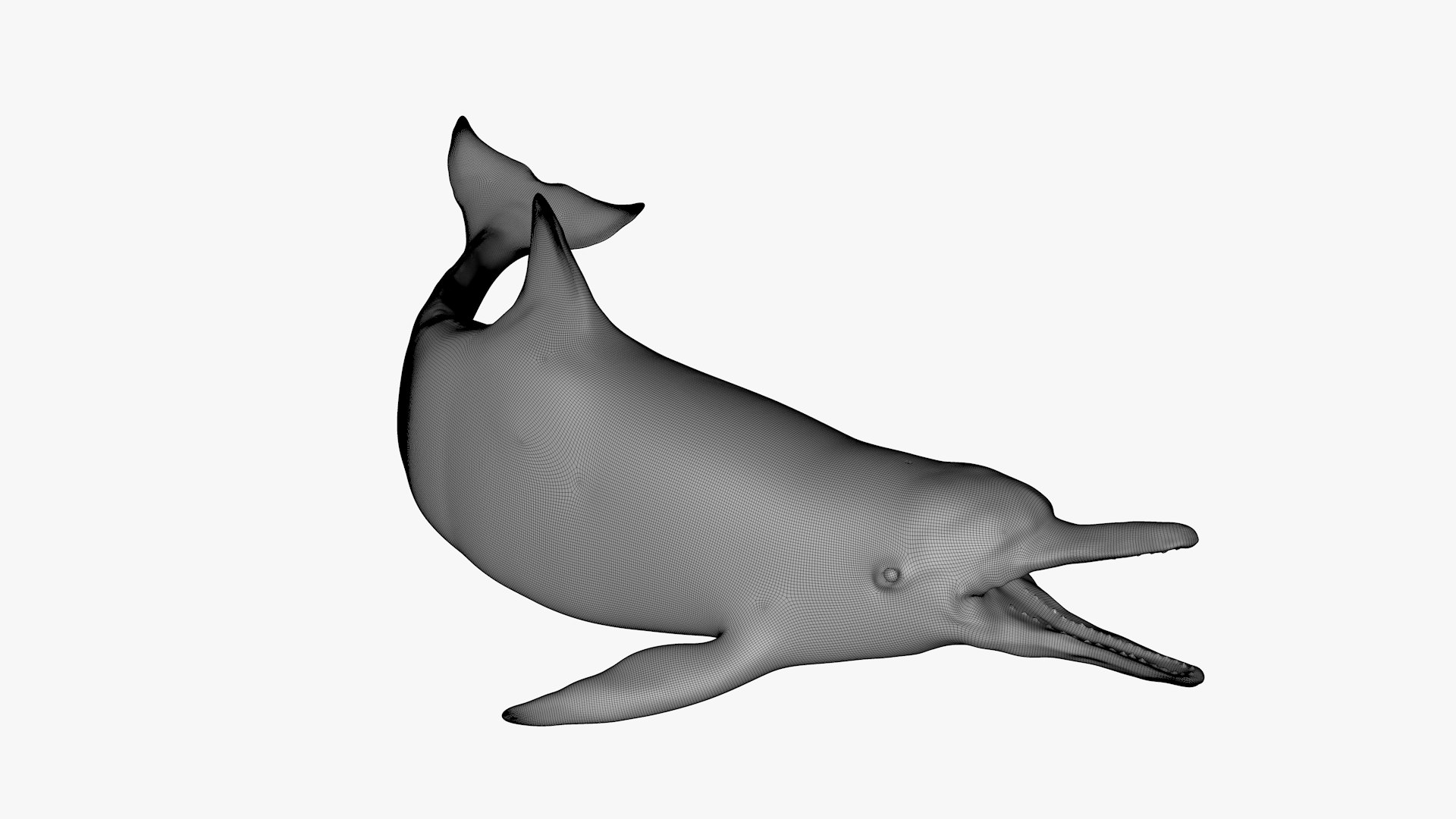 3D model dolphin rigged https://p.turbosquid.com/ts-thumb/qB/OoKL6G/Lpr9qILS/51/png/1600371567/1920x1080/fit_q87/9728e67426d85fda9abe45f2c18dfc012f9616ee/51.jpg