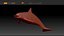 Spinner Dolphin 943