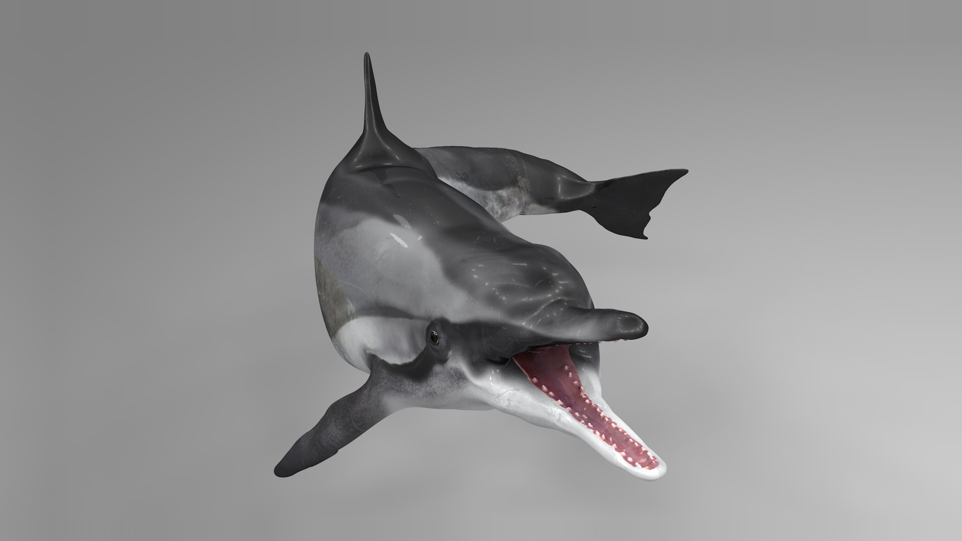 3D model dolphin rigged https://p.turbosquid.com/ts-thumb/qB/OoKL6G/Sx5ZhRnn/14/png/1600371303/1920x1080/fit_q87/ba18ee5d8d98467932ecafaee561429b73b7c503/14.jpg