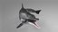 Spinner Dolphin 943