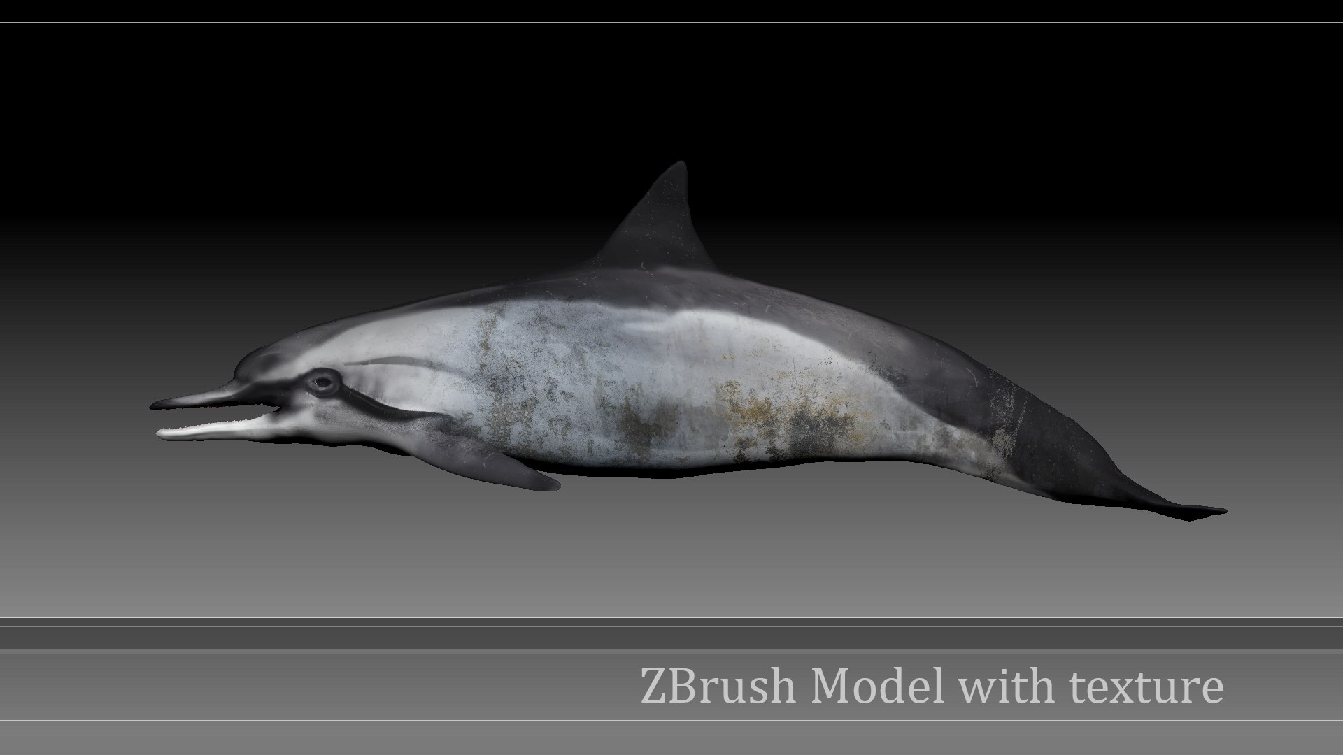 3D model dolphin rigged https://p.turbosquid.com/ts-thumb/qB/OoKL6G/hQlyzFCn/56/png/1600371306/1920x1080/fit_q87/b66ef2fc9cc28123798dad8cf1951075a4ca816f/56.jpg