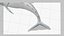 Spinner Dolphin 943