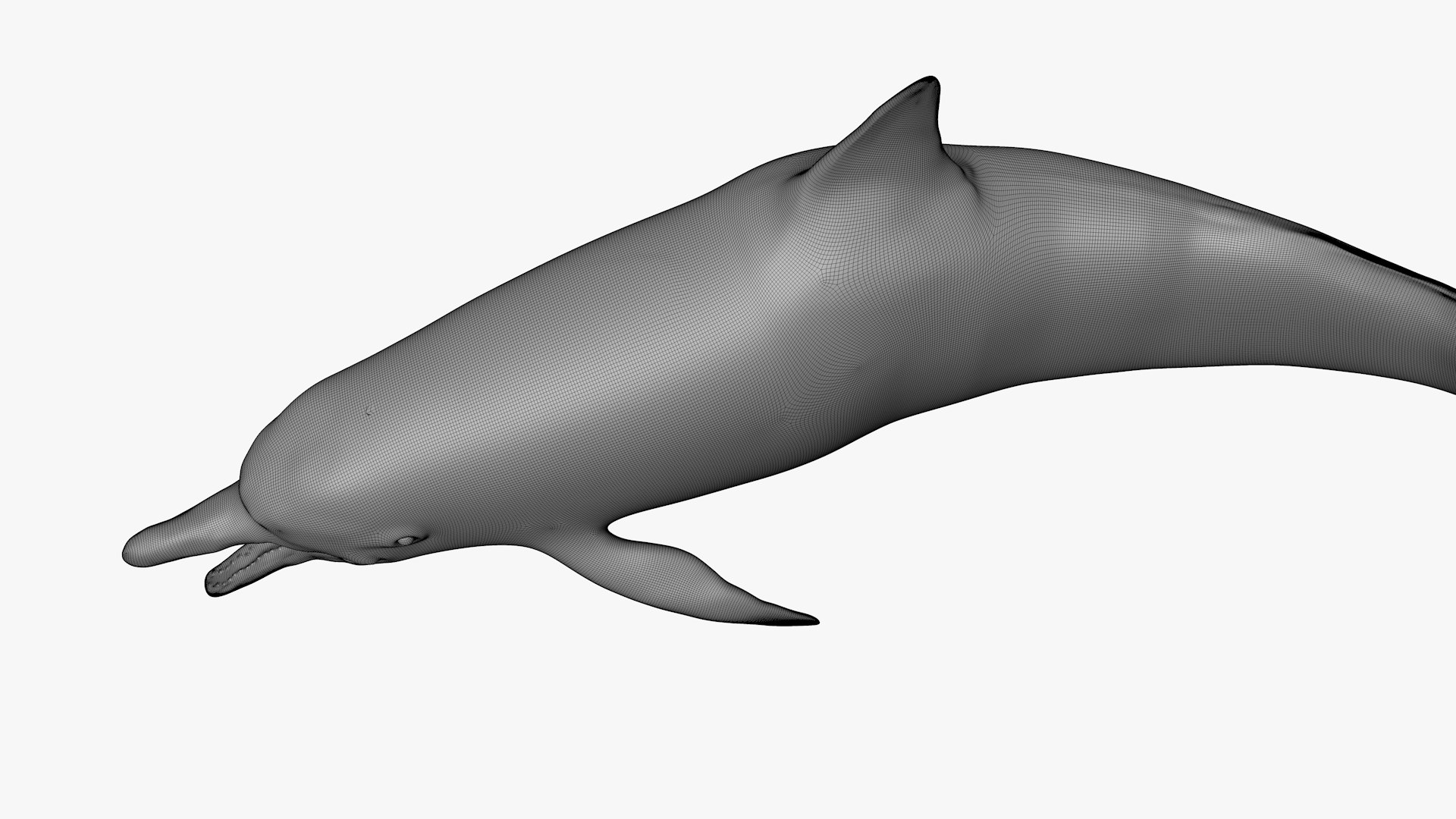 3D model dolphin rigged https://p.turbosquid.com/ts-thumb/qB/OoKL6G/p1r2ZxPN/45/png/1600371561/1920x1080/fit_q87/c023801fafa982b03efe680e4ea9c6b88fc677bd/45.jpg
