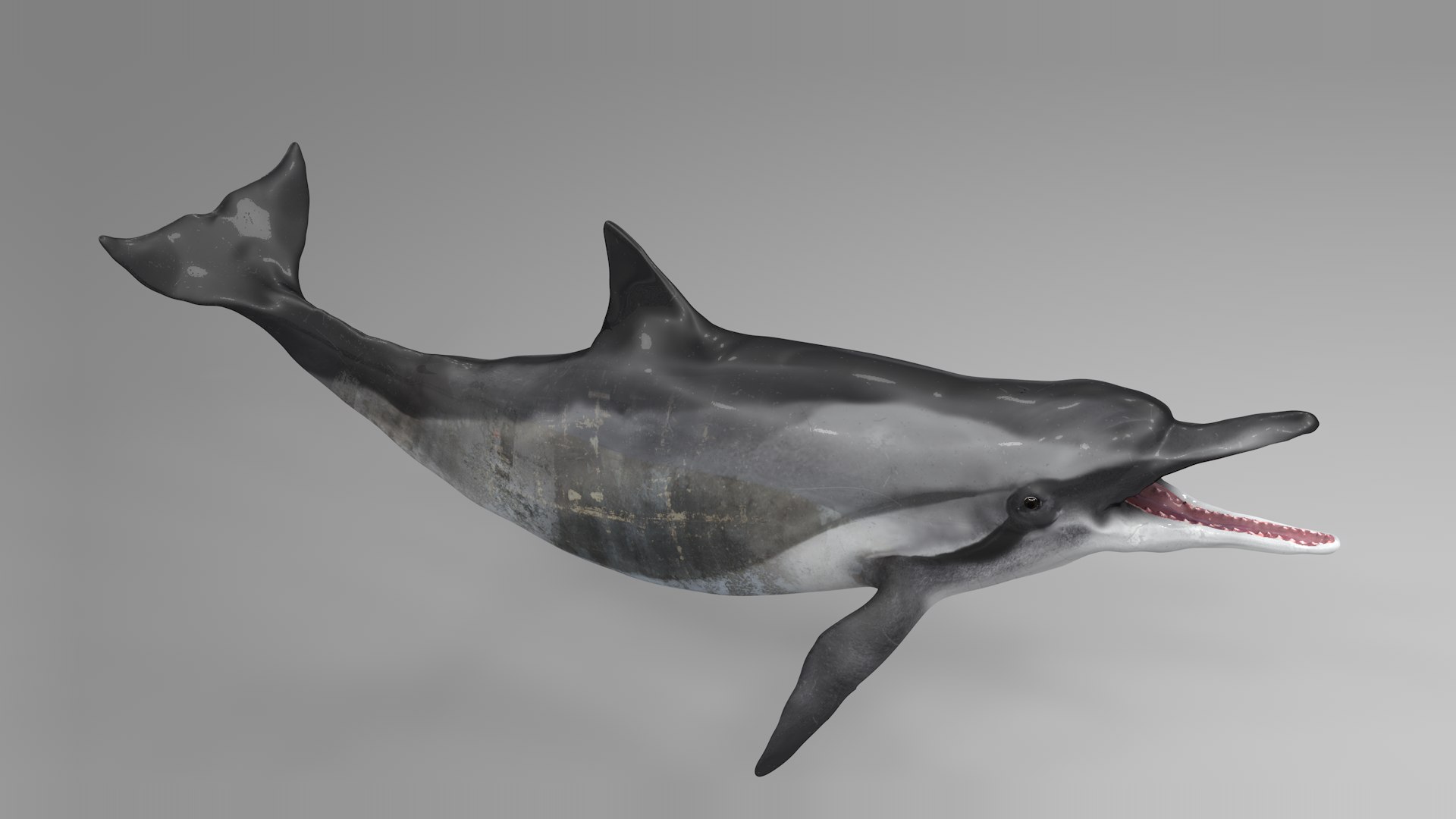 3D model dolphin rigged https://p.turbosquid.com/ts-thumb/qB/OoKL6G/pqgVoaWq/05/png/1600371293/1920x1080/fit_q87/cc811451246ac47c9c730d729fe73fae7a55ff5f/05.jpg