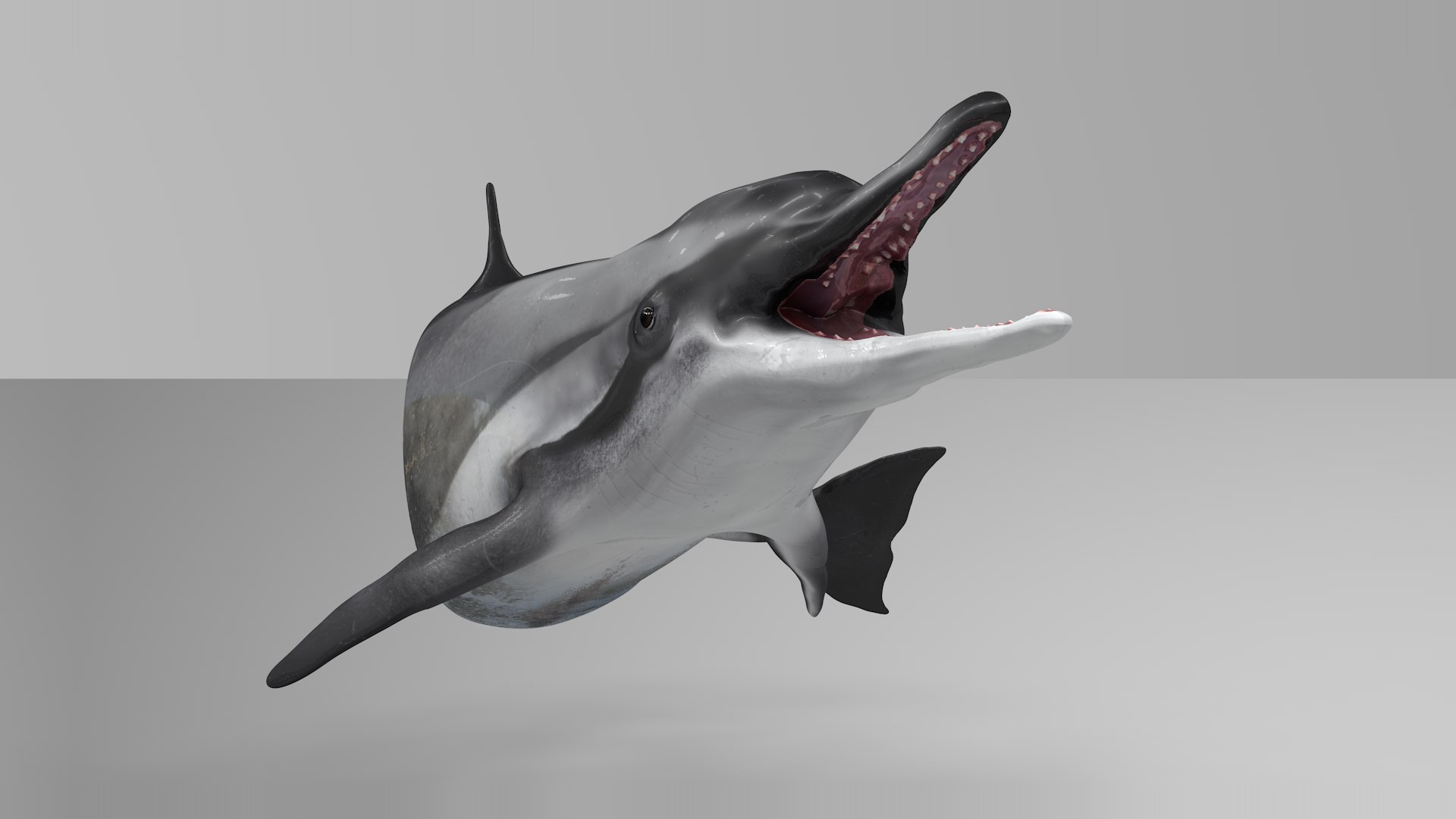 3D model dolphin rigged https://p.turbosquid.com/ts-thumb/qB/OoKL6G/rjdCEm4R/15/png/1600371313/1920x1080/fit_q87/7f9bc3238596219c75f462ffac87145bc7ce0a22/15.jpg