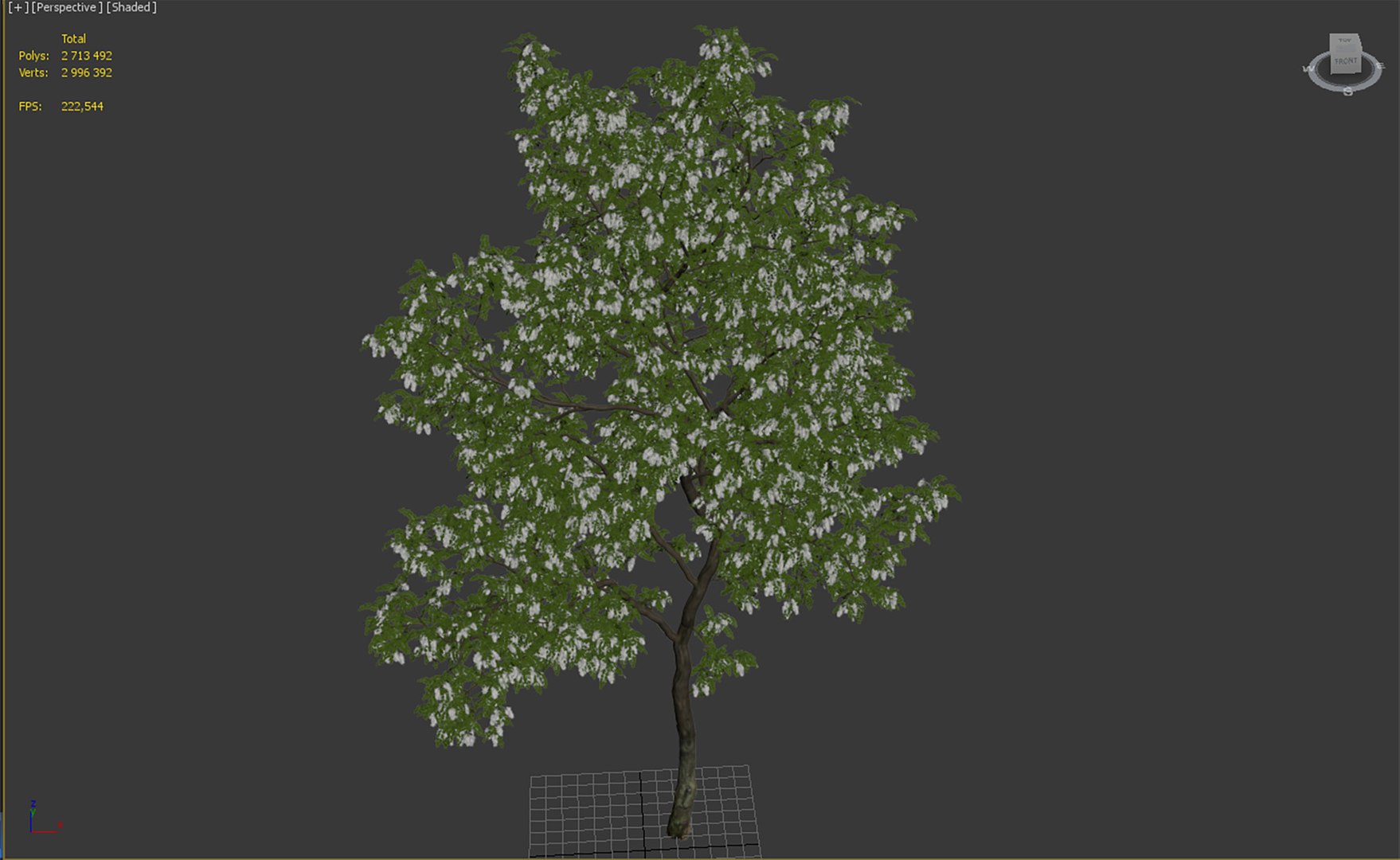 Acacia Tree 3D Model - TurboSquid 1697371