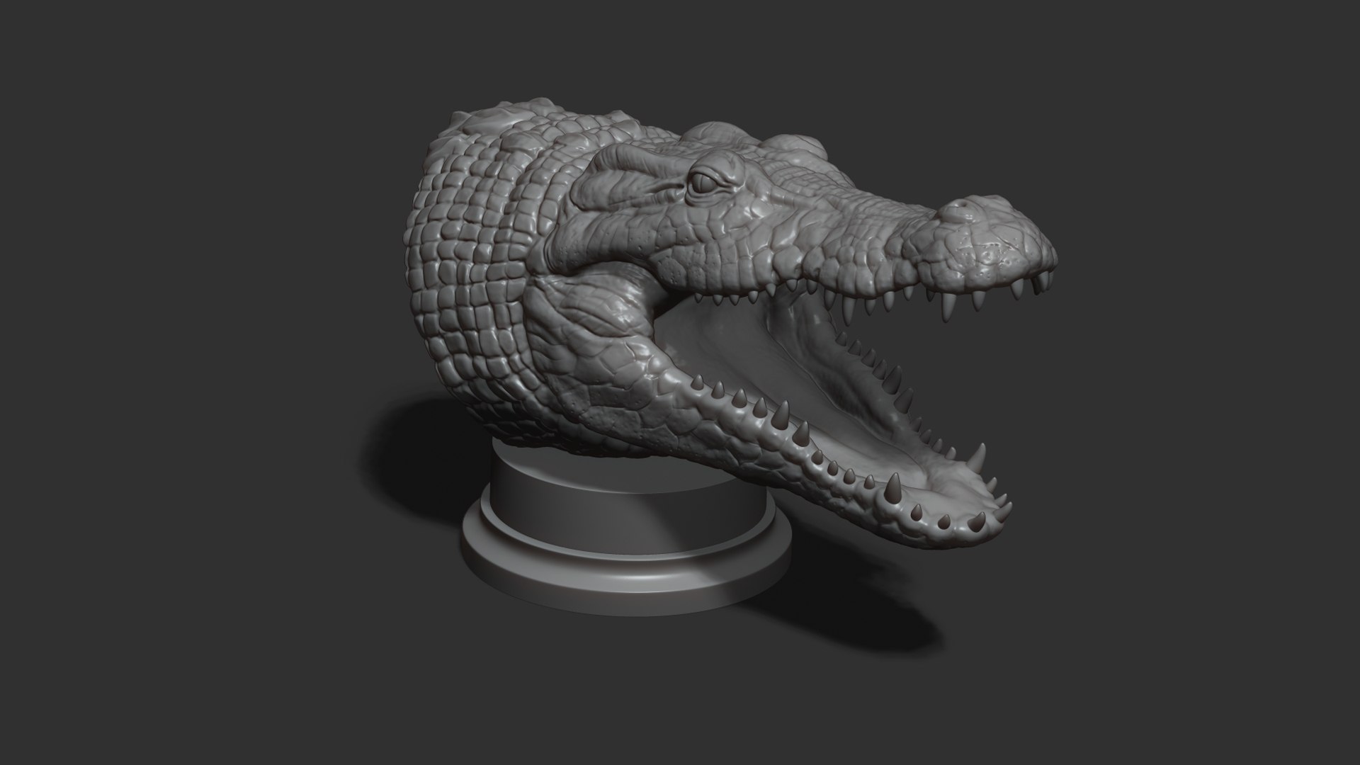 3D Crocodile head https://p.turbosquid.com/ts-thumb/qB/asgtbd/B5/25/jpg/1706265450/1920x1080/fit_q87/ba00309170e448b4975a364b9fe06918b0d196f5/25.jpg