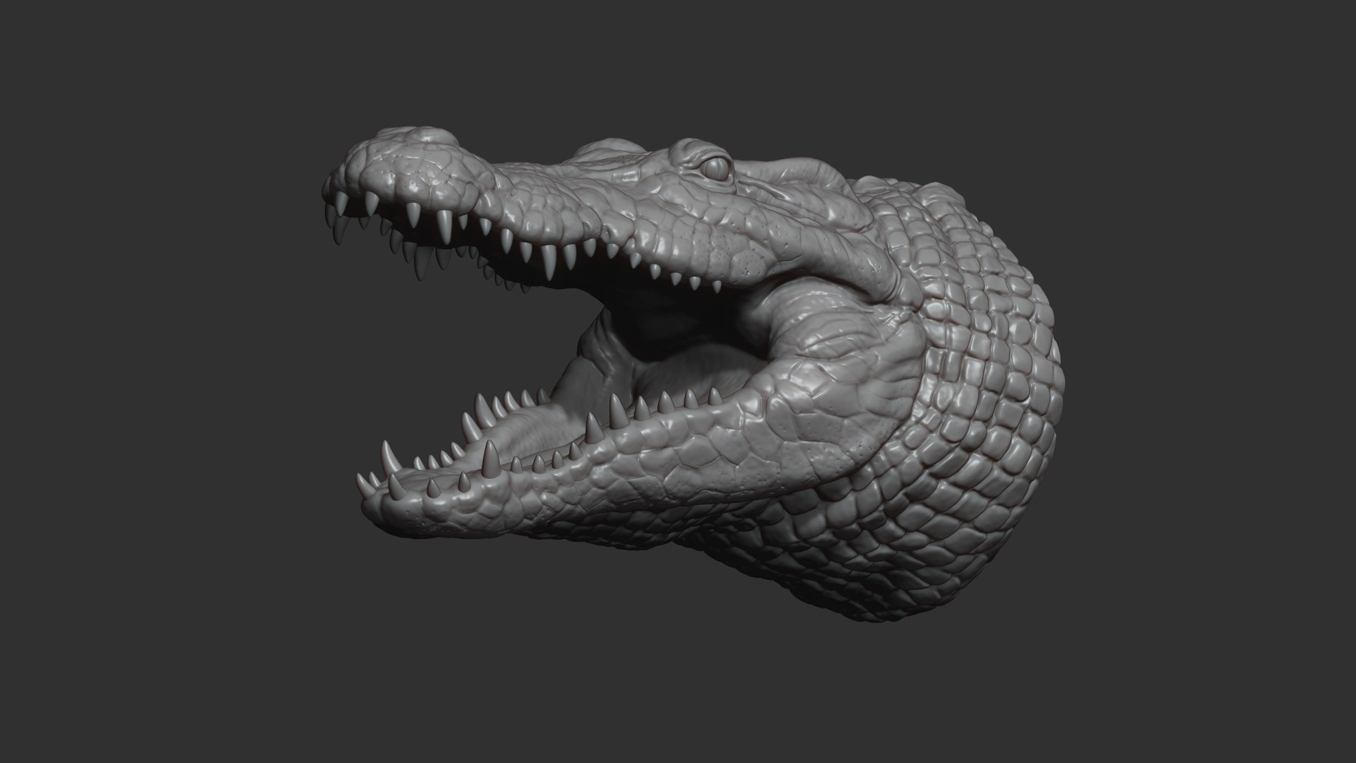 3D Crocodile head https://p.turbosquid.com/ts-thumb/qB/asgtbd/Qt/5/jpg/1706265405/1920x1080/fit_q87/2f17c75f7a29ca4aac7f9dafa3dab44676f5f338/5.jpg