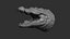3D Crocodile head