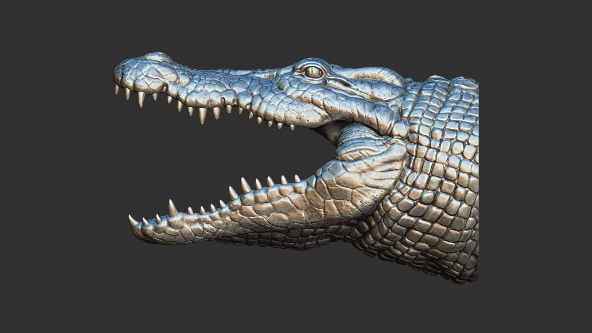 3D Crocodile head https://p.turbosquid.com/ts-thumb/qB/asgtbd/Sz/13/jpg/1706265425/1920x1080/fit_q87/468b8a8906fbf28424cac13081773243a719ba9b/13.jpg