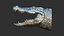 3D Crocodile head