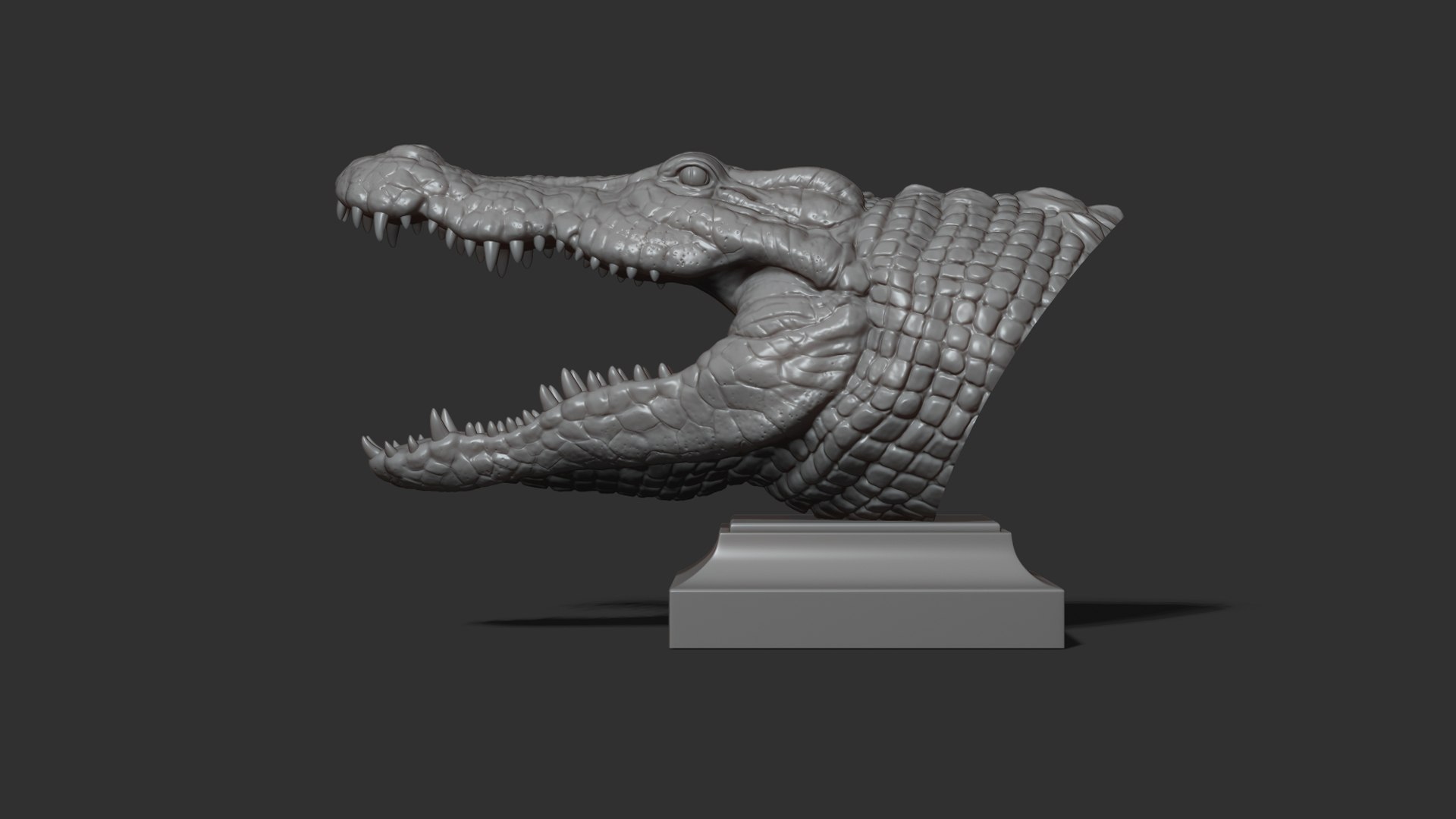 3D Crocodile head https://p.turbosquid.com/ts-thumb/qB/asgtbd/YI/20/jpg/1706265436/1920x1080/fit_q87/d8b347809c43d3e6126b8cc218480685028c200d/20.jpg