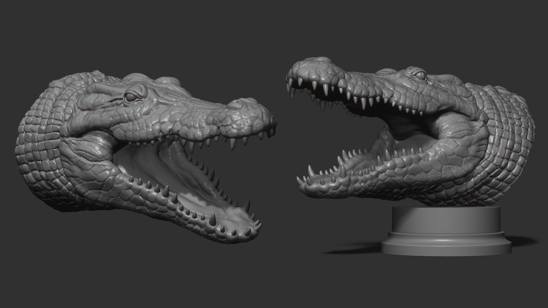 3D Crocodile head https://p.turbosquid.com/ts-thumb/qB/asgtbd/Z3/1/jpg/1706265398/1920x1080/fit_q87/3719b87e645704cd536a6825a69a5e4788381036/1.jpg