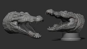3D Crocodile head
