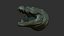 3D Crocodile head