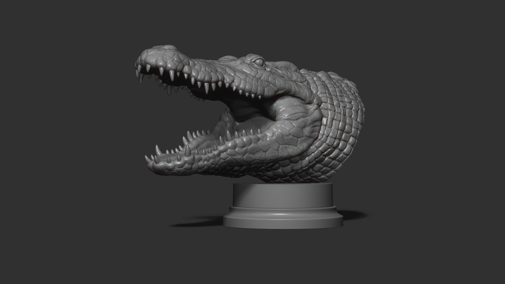 3D Crocodile head https://p.turbosquid.com/ts-thumb/qB/asgtbd/fw/24/jpg/1706265448/1920x1080/fit_q87/8fb3daadda622625461d3ed87fc299210dbd7f51/24.jpg
